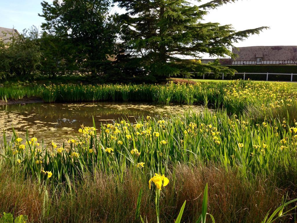 Residences Le Clos Du Manoir - Self Cooking Gauciel Kültér fotó
